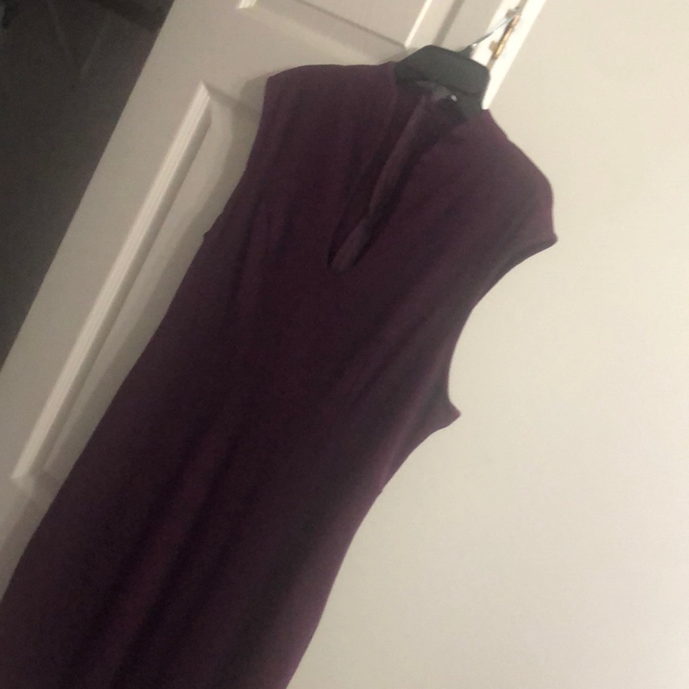 PLUM COLORED FITTED DRESS